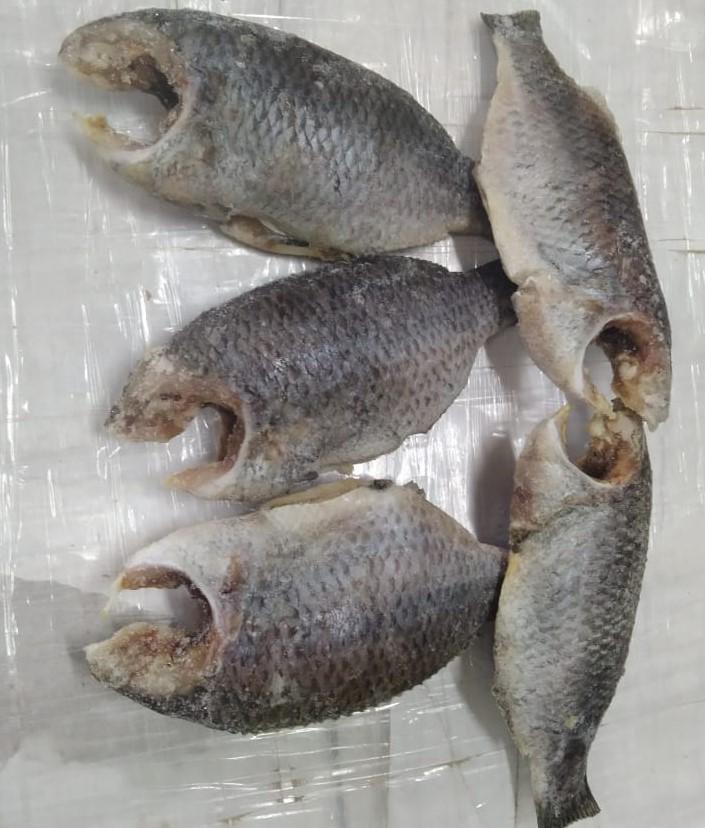 Tilapia Mooncut